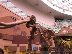 -陕西自然博物馆