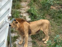 -石家庄市动物园