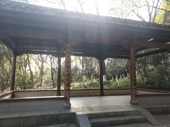 -杭州半山国家森林公园