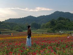 -翠矶山公园