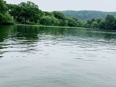 -西湖游船