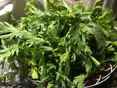 茼蒿-马一洒开锅羊肉清真餐厅(京汉店)