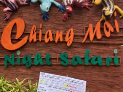 -清迈夜间动物园