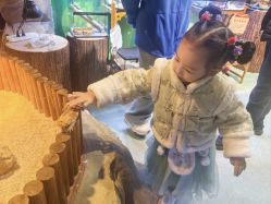 -酷嗒动物文化乐园(cutezoo西溪乐天城店)