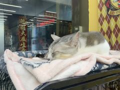 -谜盒子奇幻密室(南屏店)