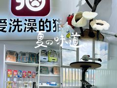 -爱洗澡的猫(天河路店)