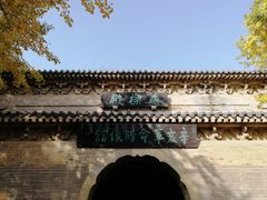 -灵谷景区