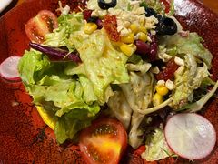 田园时蔬沙拉-布拉格餐厅· 中欧捷克菜(全国首店)