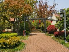 -上海长兴岛郊野公园