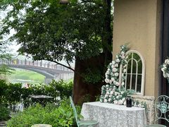 -西山漾湿地公园