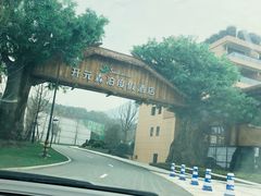 -杭州开元森泊度假乐园
