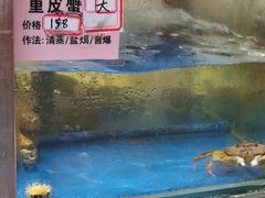 -宏佳丰味蟹馆(洛溪店)