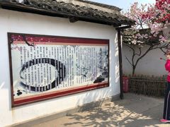 -南汇水蜜桃采摘(大团店)