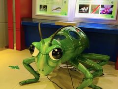 -上海昆虫博物馆