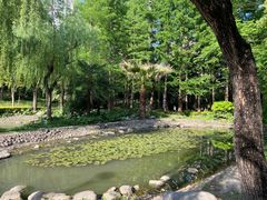 -苏州河梦清园环保主题公园