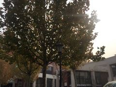 -天津东丽湖风景区