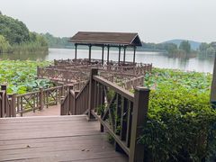 -上海市保健医疗中心