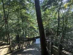 -都江堰普照寺