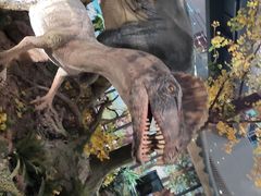 -湖南省地质博物馆