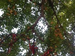 -金堂县云顶石城风景区