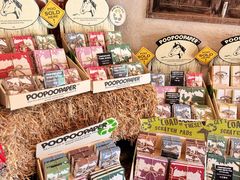 -大象粑粑造纸公园