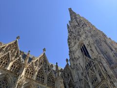 -斯蒂芬主教座堂(Stephansdom)