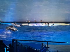 -上海海昌海洋公园