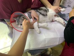 -美联众合动物医院·24h转诊中心