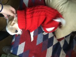 -椿树下·Tattoo纹身工作室