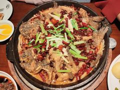 -老板恋上鱼(高新万达店)