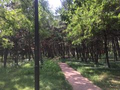-山东大学(威海校区)