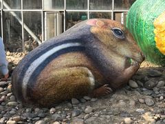 -南通洲际绿博园