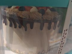 -维尔纳斯·生日蛋糕·动物奶油冰淇淋蛋糕(六里桥店)