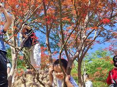 -广州市帽峰山景区