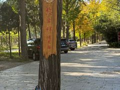 -中卫御苑福膳·养生局(圆明园店)
