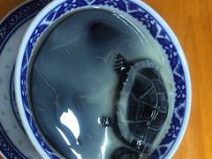 -韵姐牛奶甜品世家