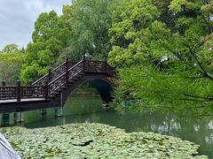 -尚湖风景区