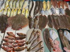 -魚當家