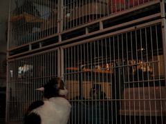 -小时光咖啡馆(北锣鼓巷店)