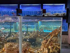 水产区-徐记海鲜(大明宫|北二环店)