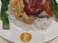 招牌四宝饭-龙记香港茶餐厅(久光百货店)