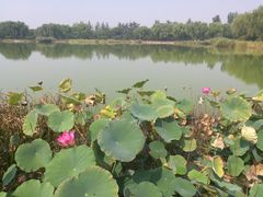 -燕郊植物园