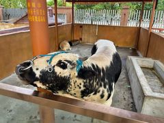 -武汉园博园(武汉自然博物馆)