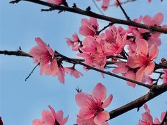 -重庆彩云湖湿地公园