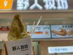 -野人先生现做冰淇淋(西安赛格店)