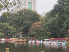 -晓港公园