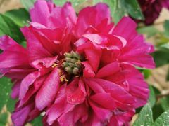 -北京西山国家森林公园