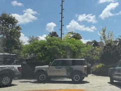 -西双版纳基诺山寨