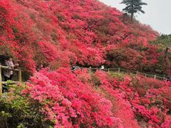 -木兰云雾山