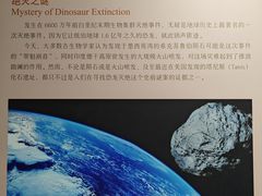 -大连自然博物馆